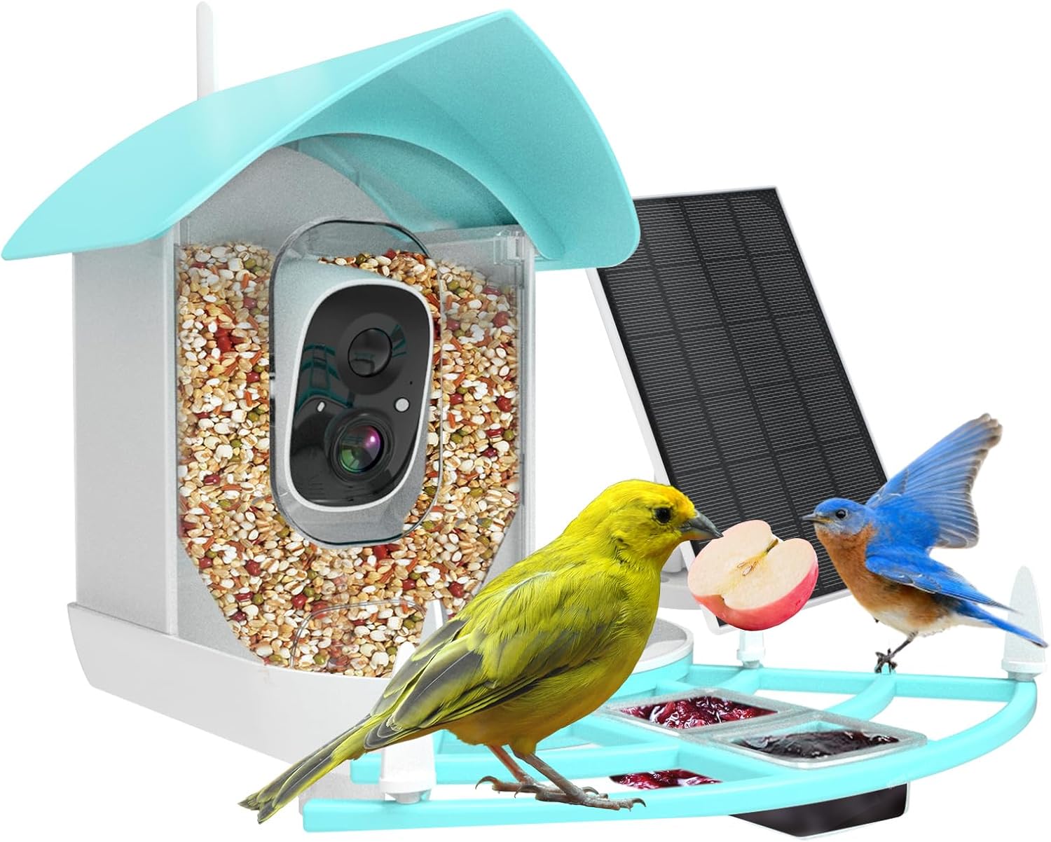 Bird Feeders